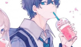 cp动漫,青春校园的甜蜜碰撞与成长之旅